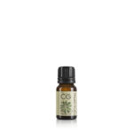 Eucalyptus Globulus Essential Oil - 10ml